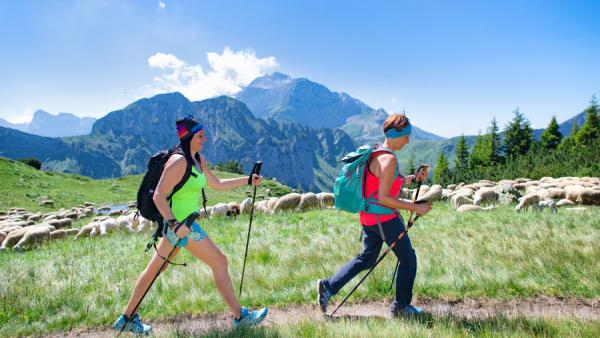 NORDIC WALKING – Leysin